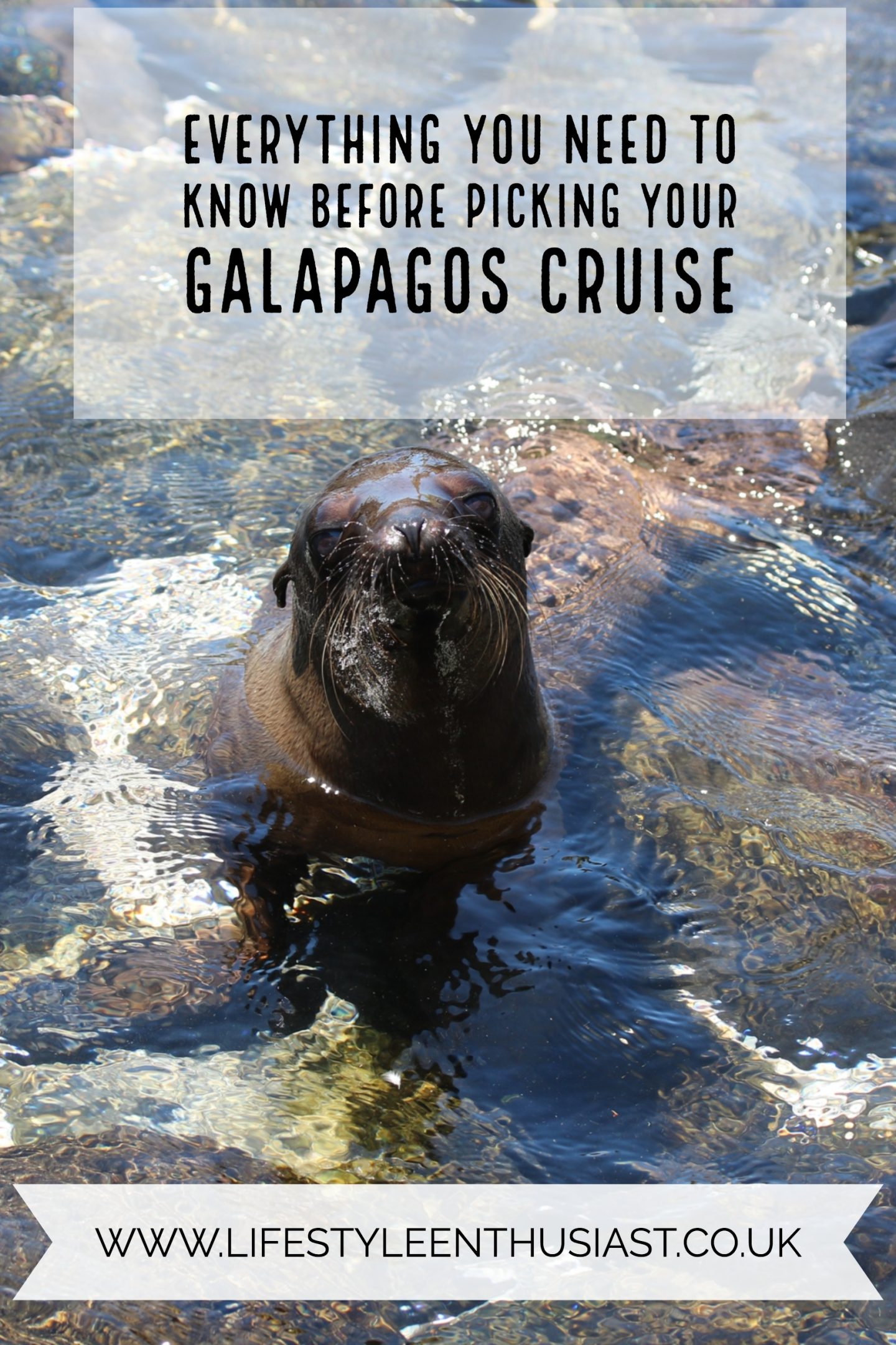 How to pick your galapagos cruise boat